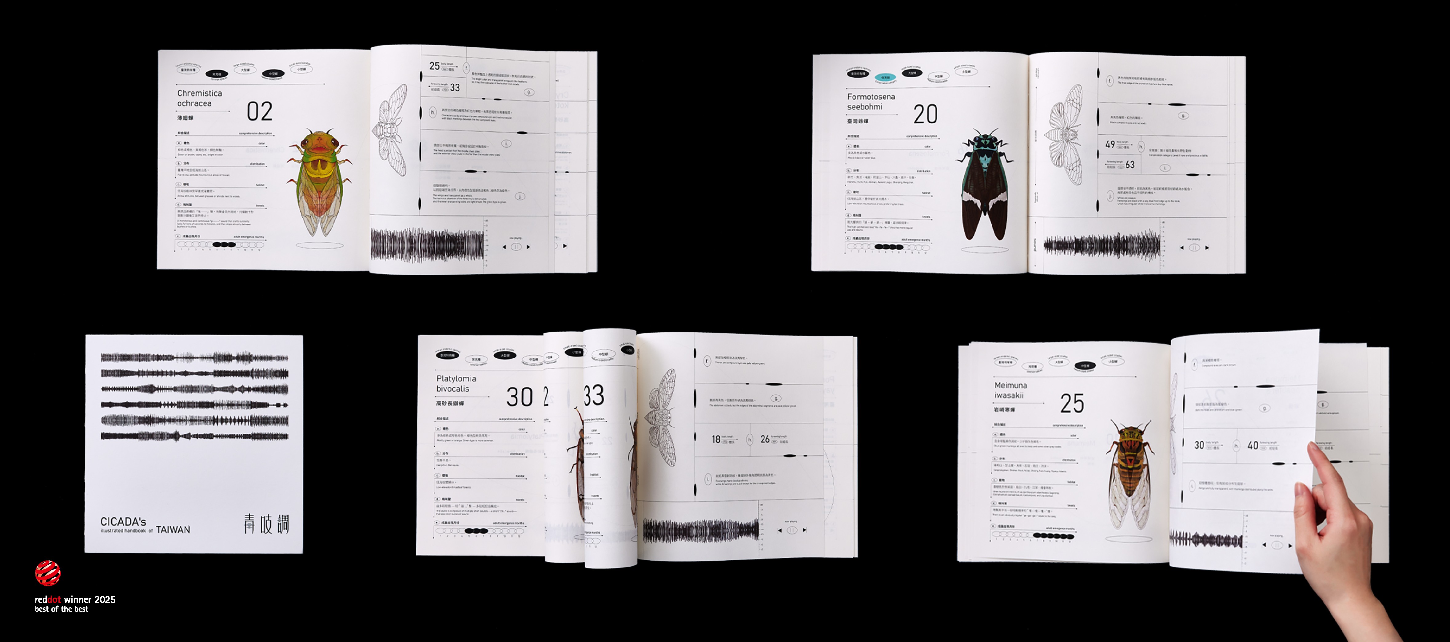 青吱調 CICADA’S TUNE