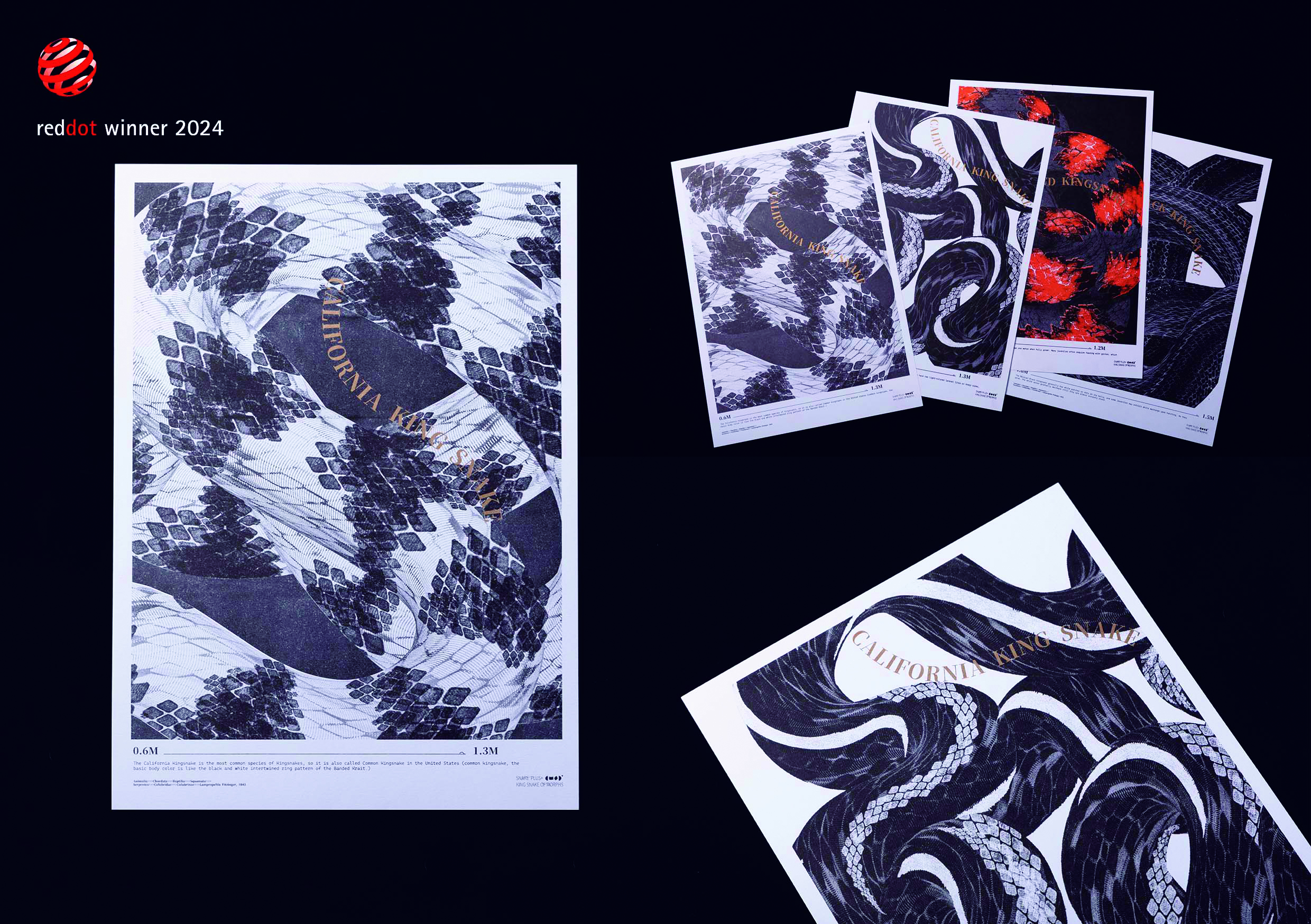 品系觀SNAKE PLUS+KING SNAKE OF MORPHS