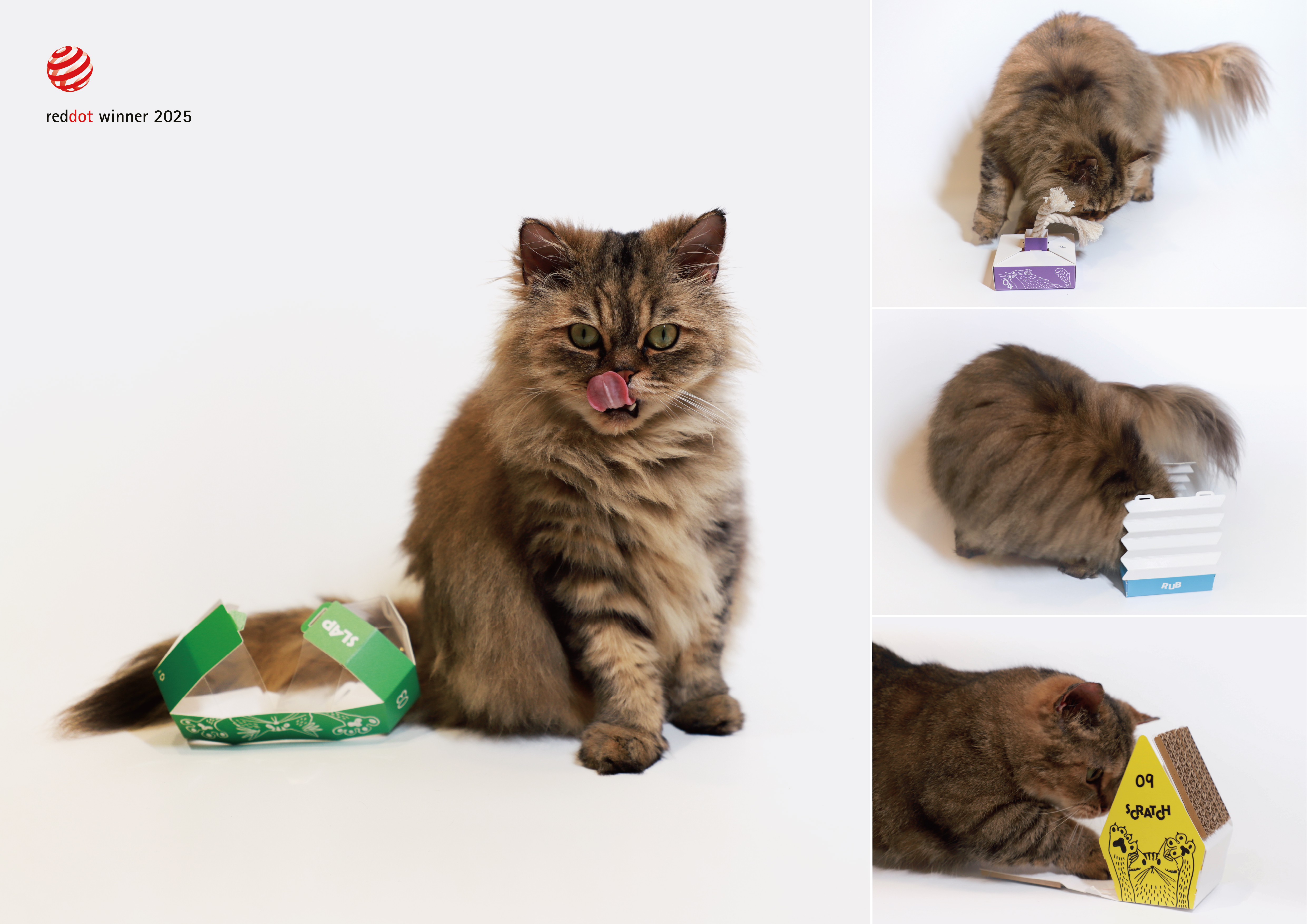 PET PAPER 貓紙出品