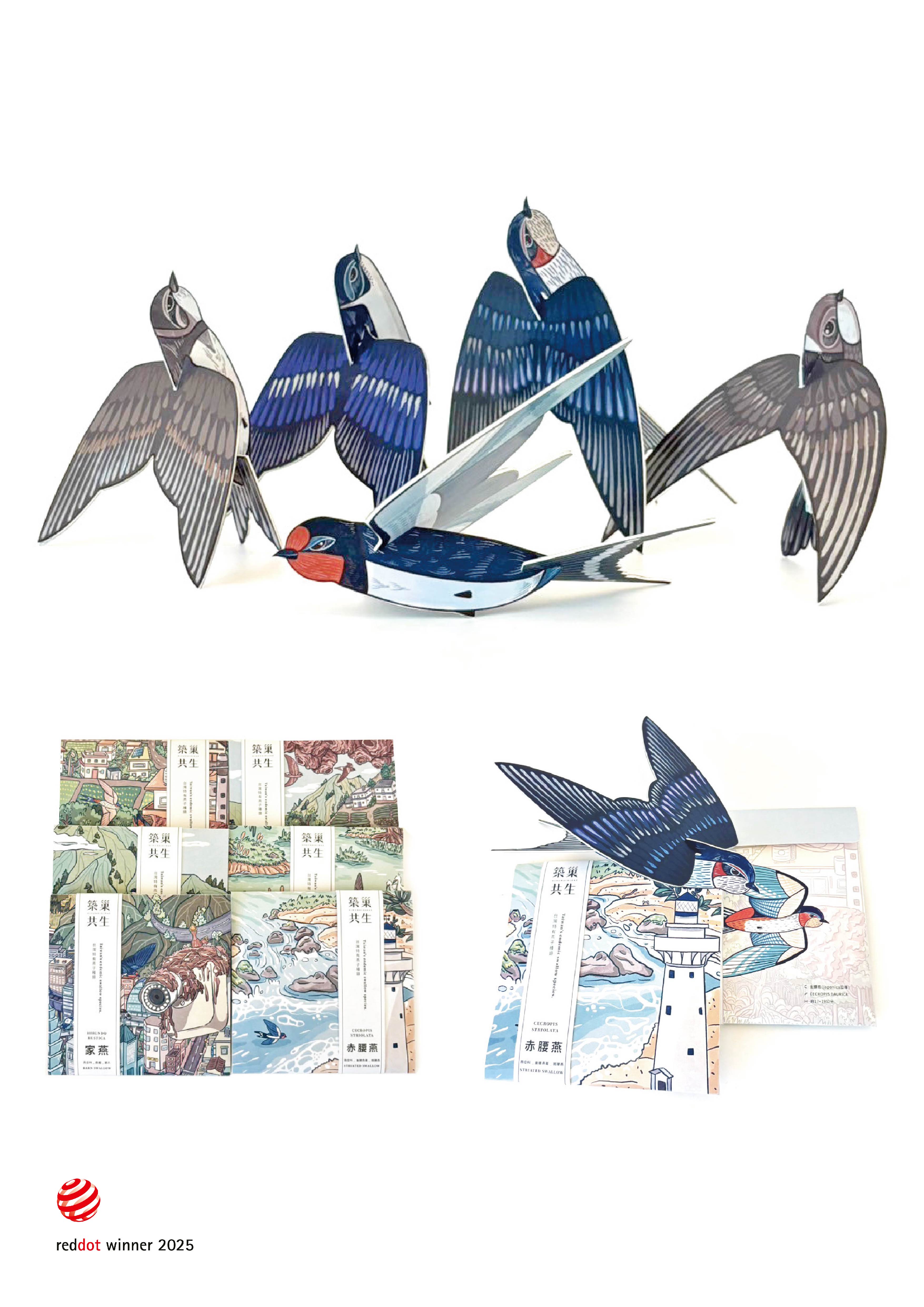 築巢共生 Hirundinidae