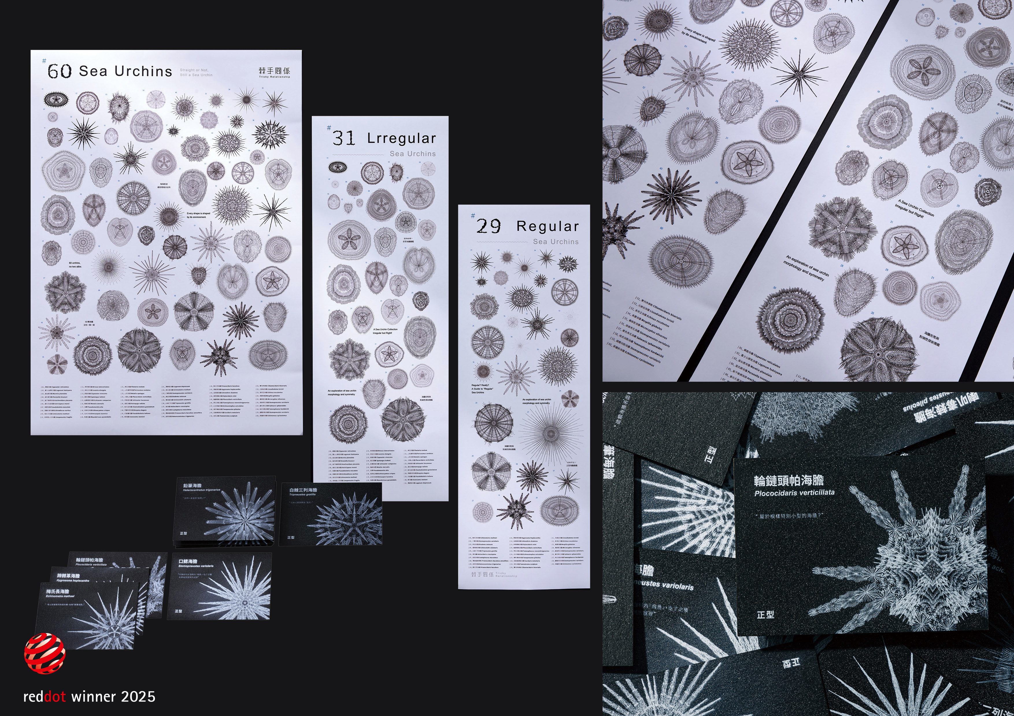 棘手關係Tricky Relationship