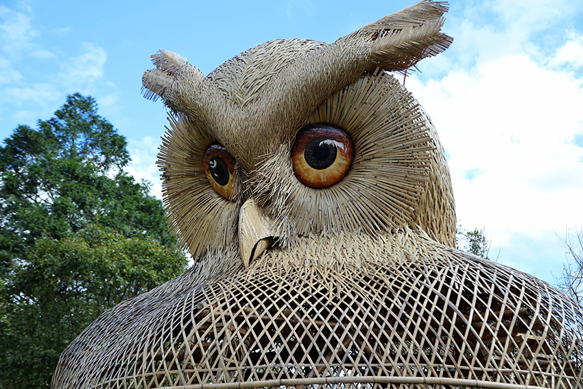 竹藝師劉哲安所創作「福鳥新生領角鴞」大型竹構藝術裝置為拍照熱門景點_0