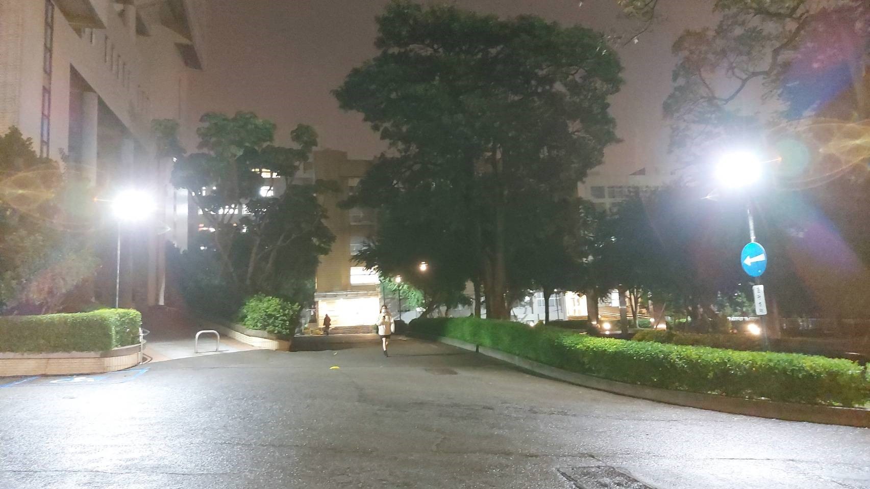 亞萍館東面鑽石廣場周邊