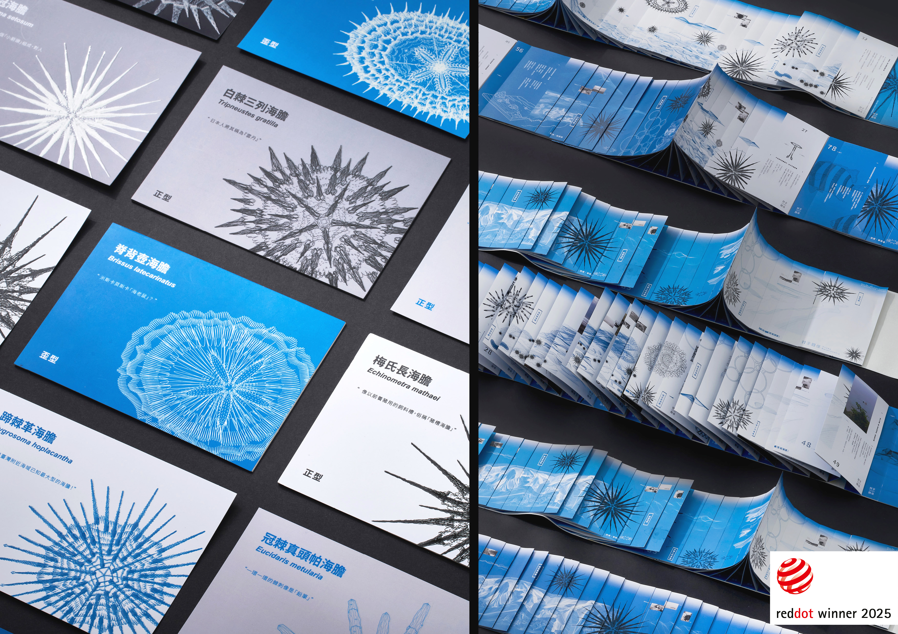 棘手關係Tricky Relationship