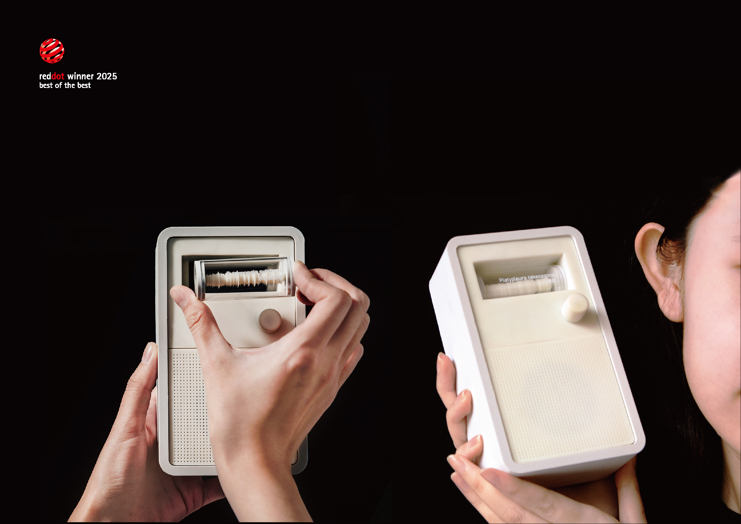 青吱調 CICADA’S TUNE