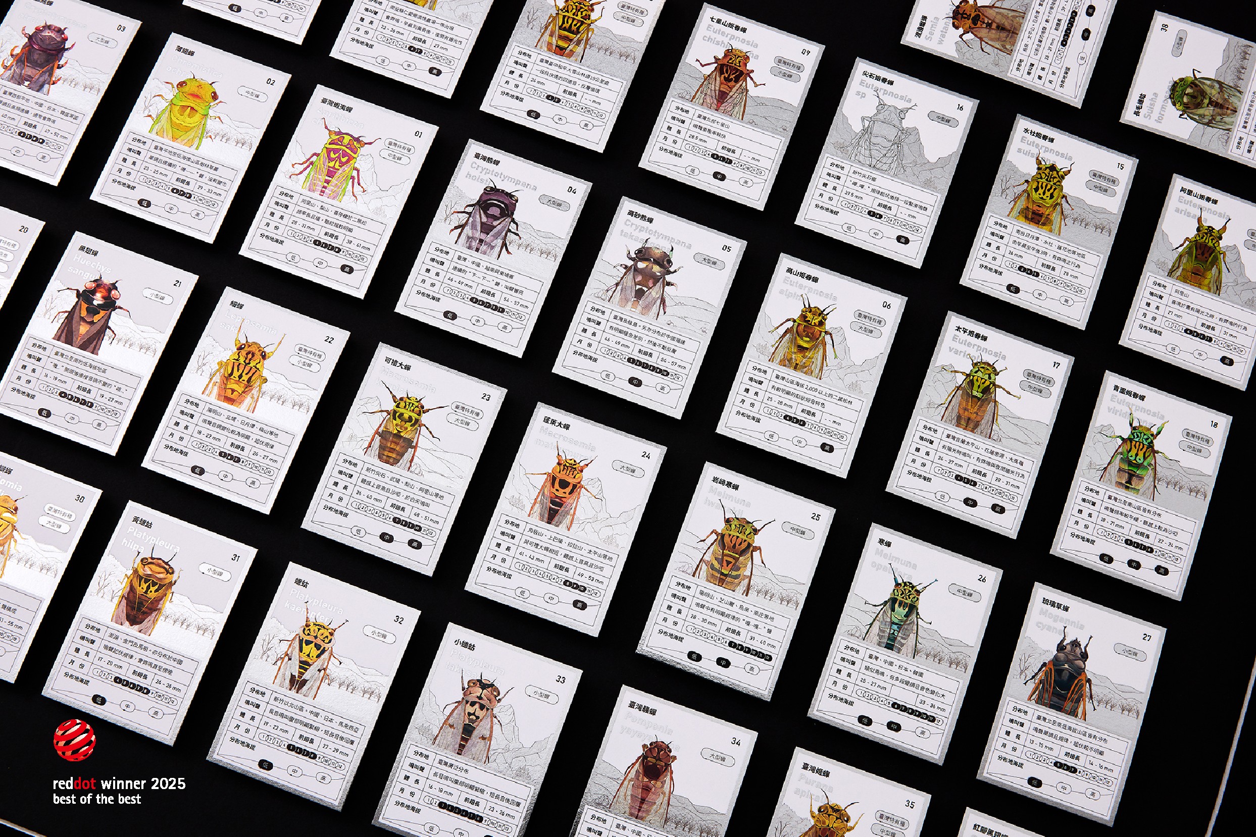 青吱調 CICADA’S TUNE