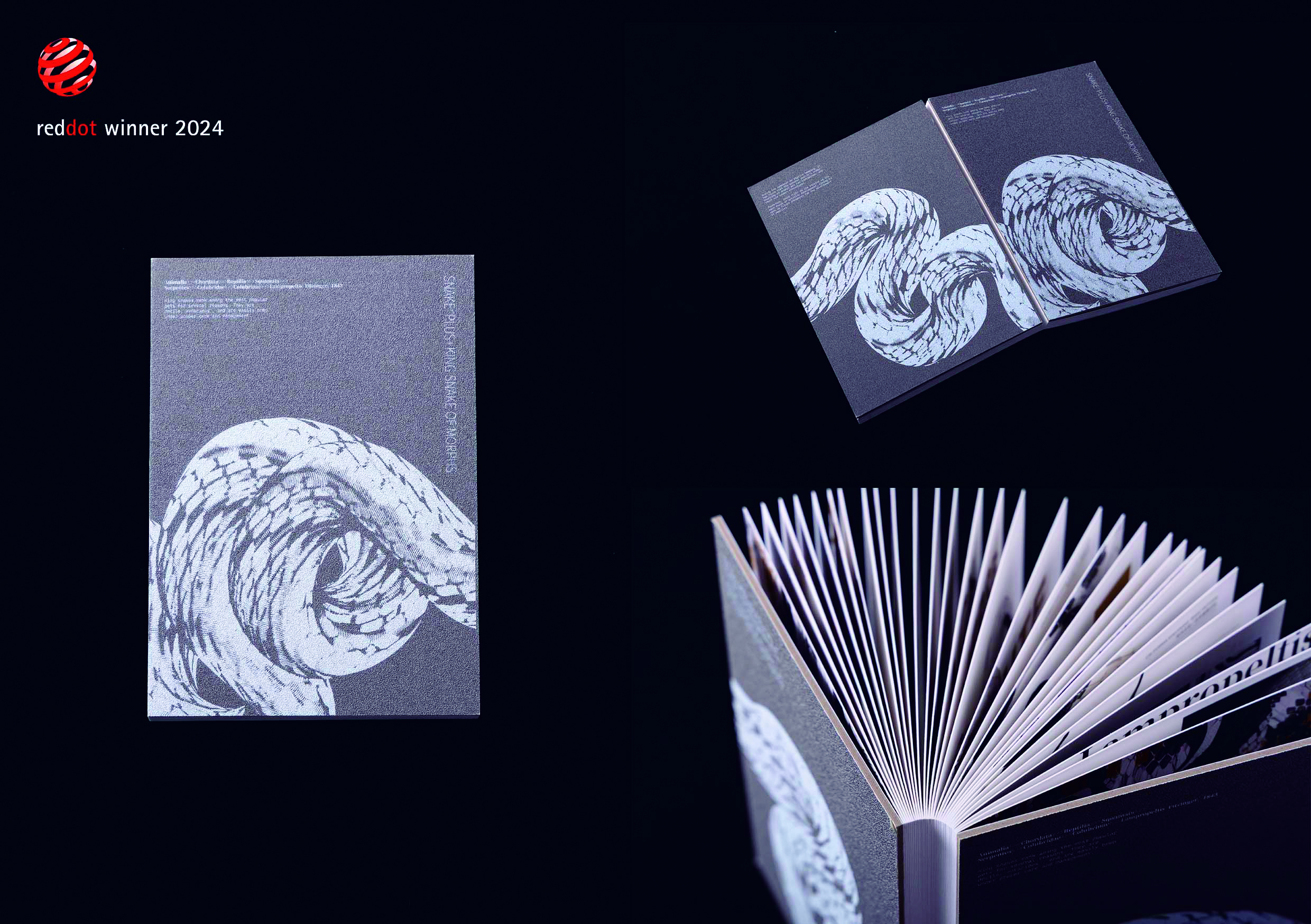 品系觀SNAKE PLUS+KING SNAKE OF MORPHS