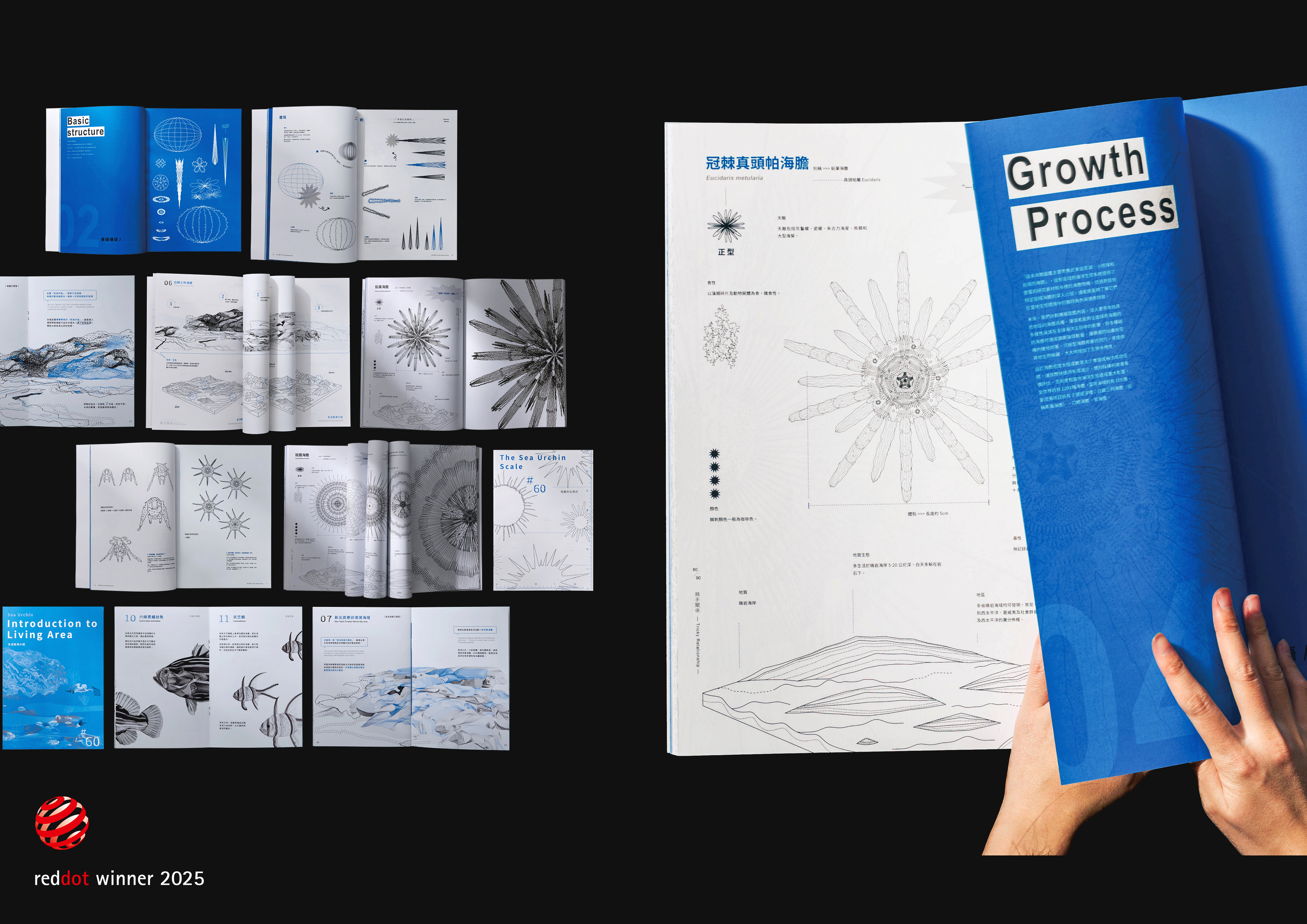 棘手關係Tricky Relationship