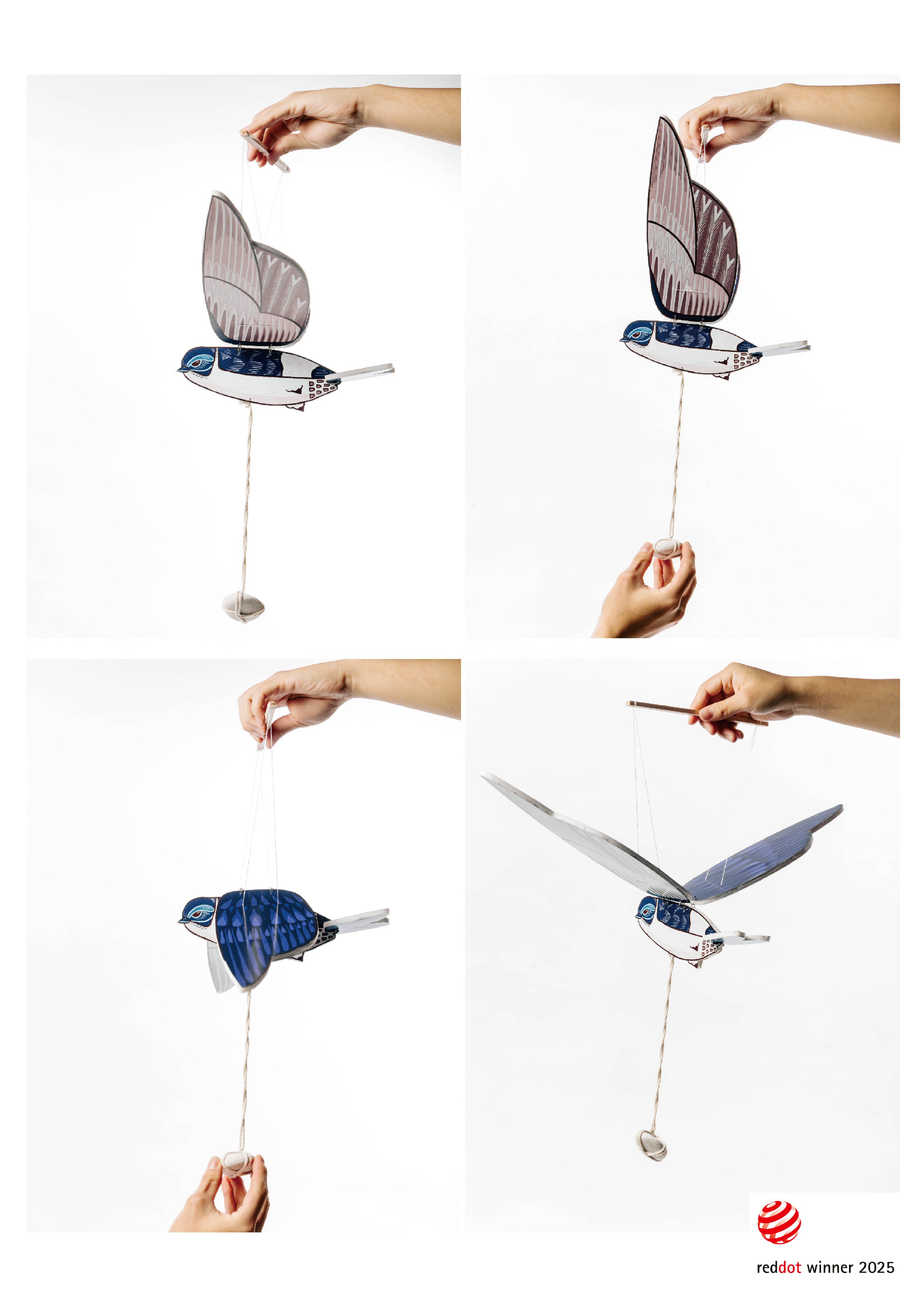 築巢共生 Hirundinidae